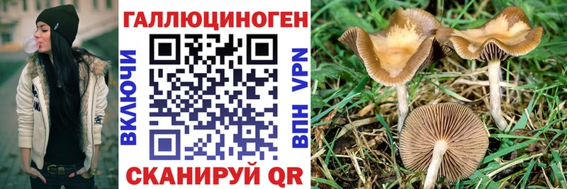 купить наркотик Всеволожск kraken как зайти это как зайти Псилоцибиновые грибы GOLDEN TEACHER